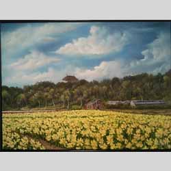 Bollenveld