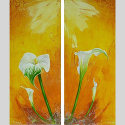 Callas