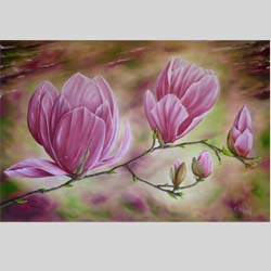 pink magnolias